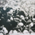 Closeup from original photo of a mass killing