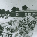 Auschwitz-Birkenau forced labor females
