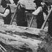 Jewish lumbermen in Carpathia